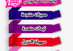 واتس عمر الوردي بدون حظر اخر تحديث 2024 بدون مشاكل  مجاني